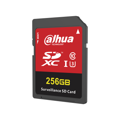 SD-H100-256GB