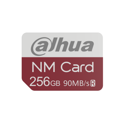 NM-N100-256GB